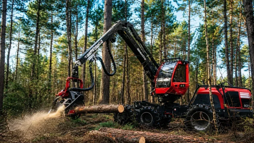 cesse-&-fils-coupe-de-bois