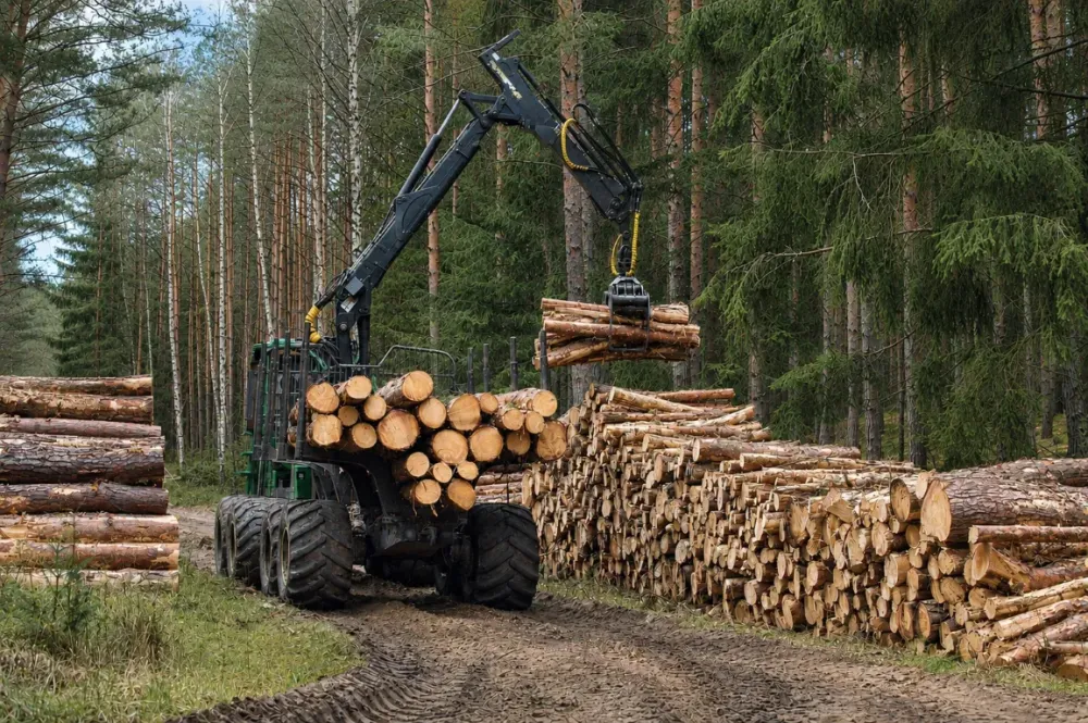 exploitation-de-bois-doeuvre