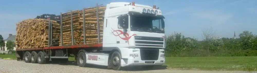 camion